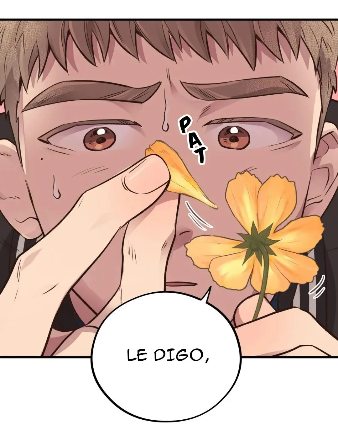 Osito de Miel (Honey Bear) (2023) - Capítulo 31 - Página 11 - LectorTMOo