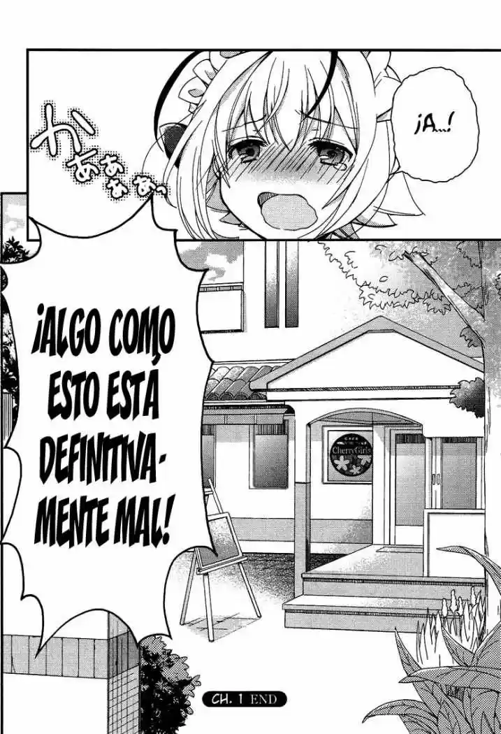 Otoko no Ko wa Maid Fuku ga Osuki!? (2008) - Capítulo 1 - Página 28 - LectorTMOo