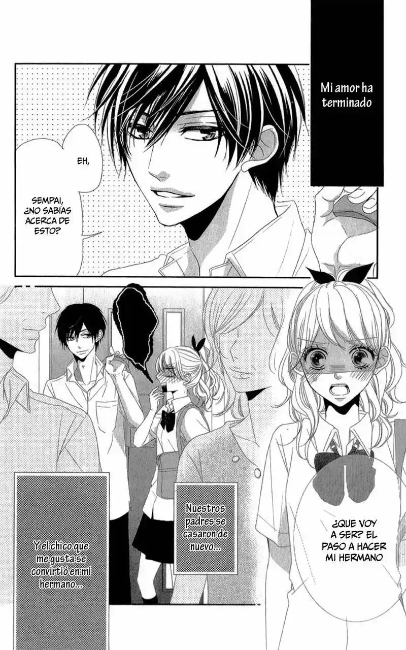 Otouto Wo Kareshi Ni Suru Houhou (2016) - Capítulo - Página 5 - LectorTMOo