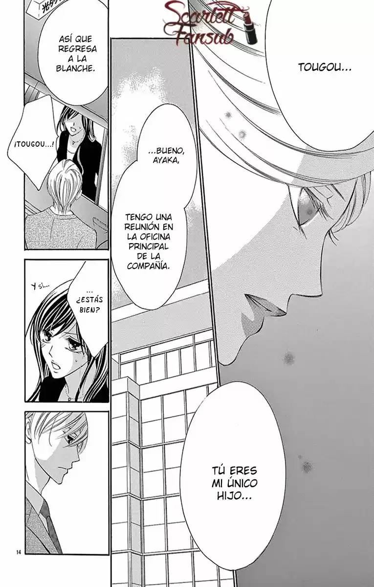 Ou-sama ni Sasagu Kusuriyubi (2014) - Capítulo 36.1 - Página 17 - LectorTMOo