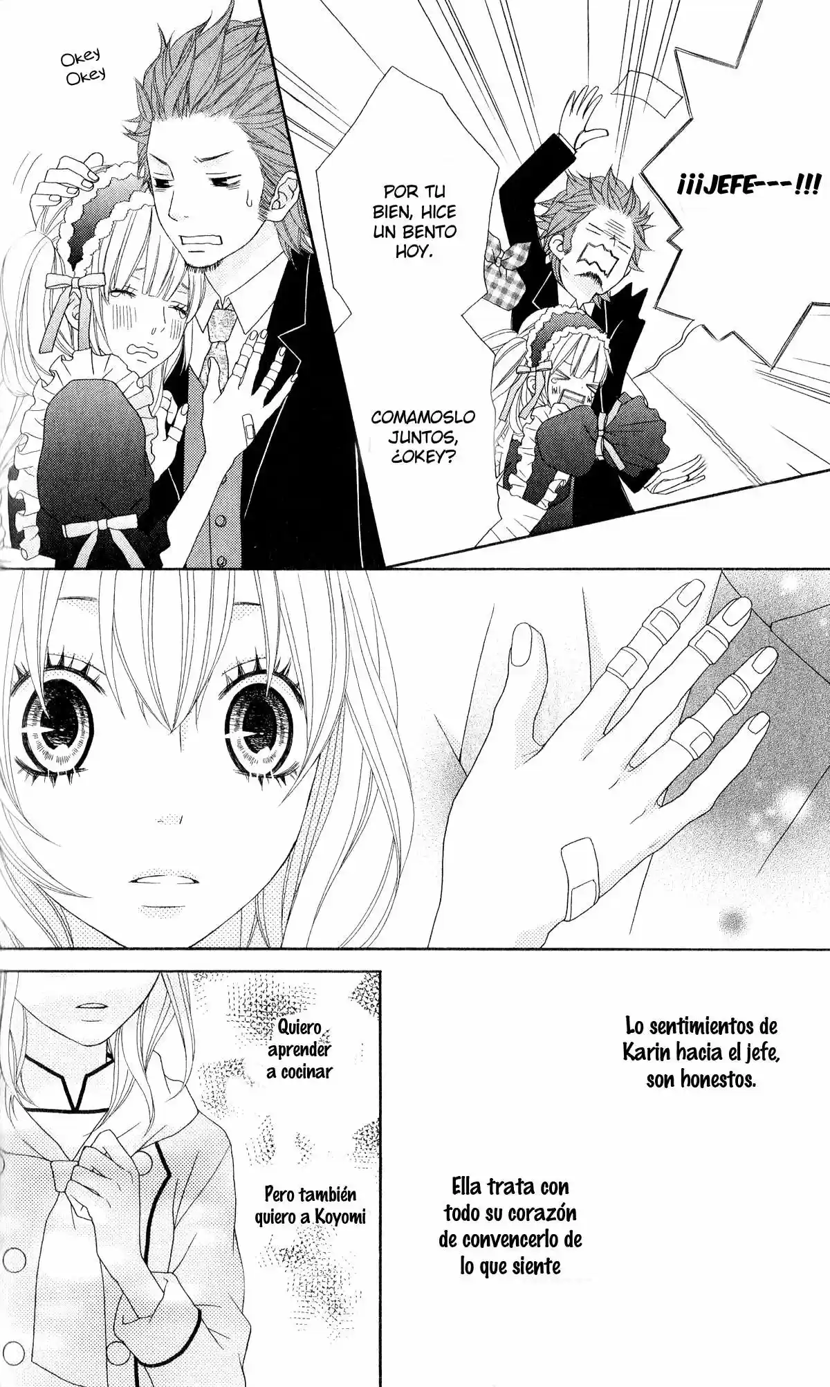 Ou-sama wa Shitsuji-sama (2016) - Capítulo 3 - Página 17 - LectorTMOo
