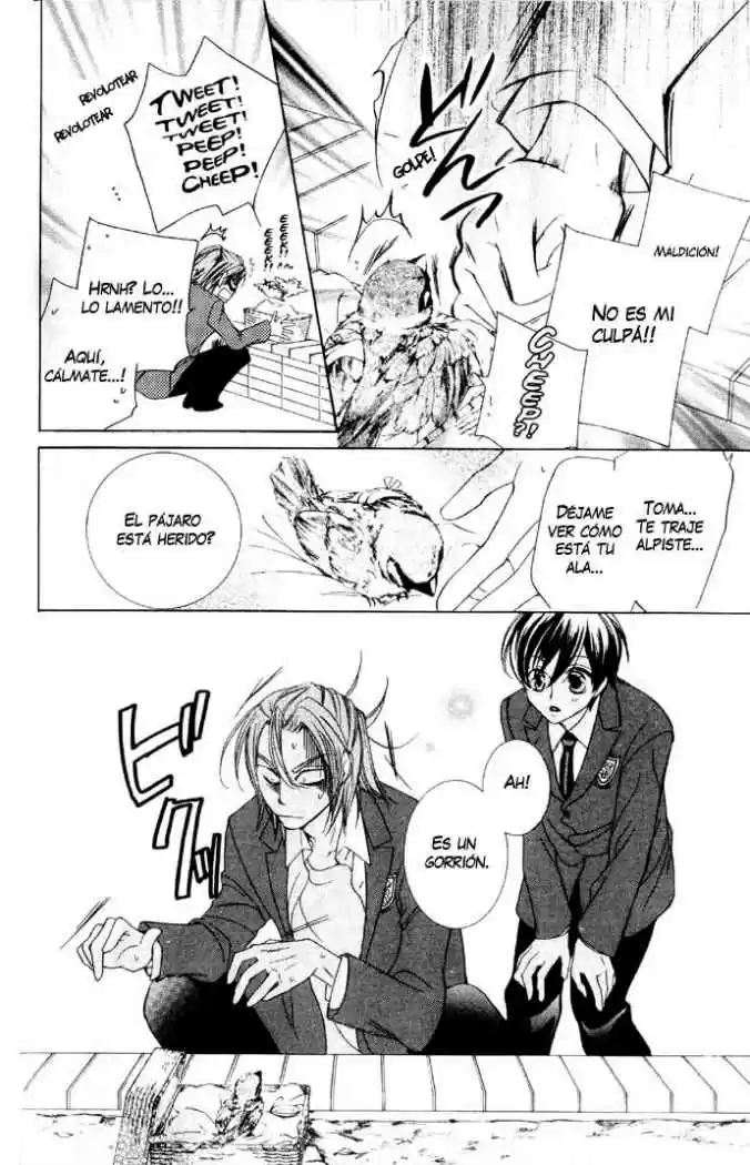 Ouran High School Host Club (2002) - Capítulo 35 - Página 17 - LectorTMOo