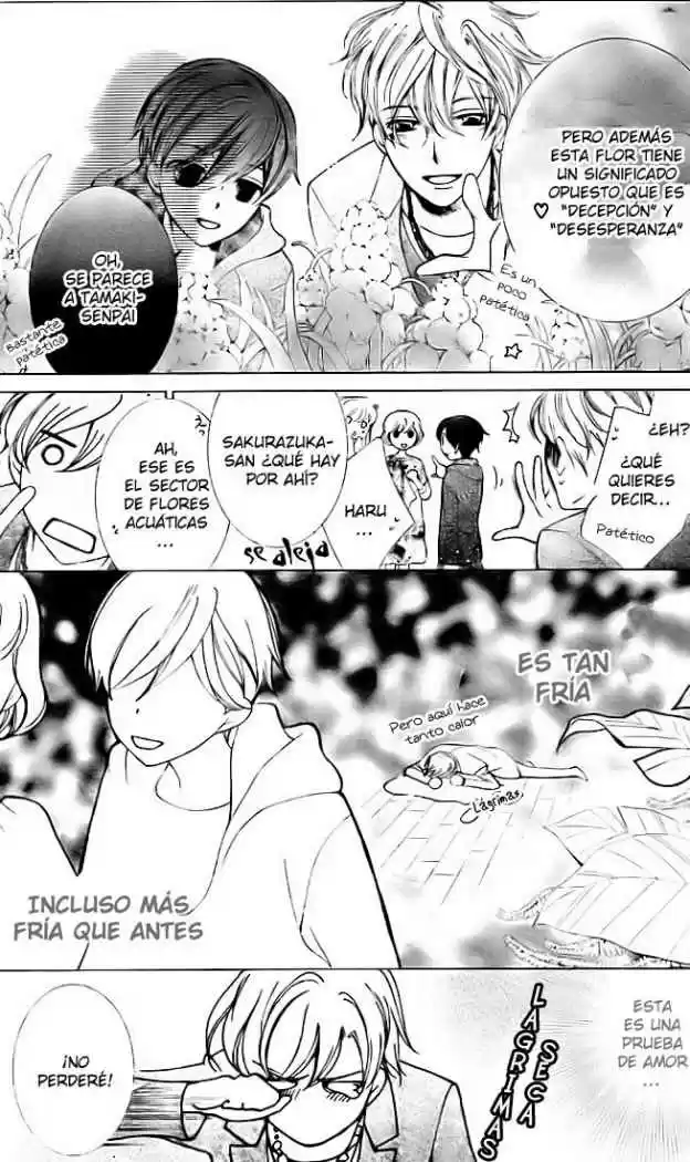 Ouran High School Host Club (2002) - Capítulo 70 - Página 13 - LectorTMOo