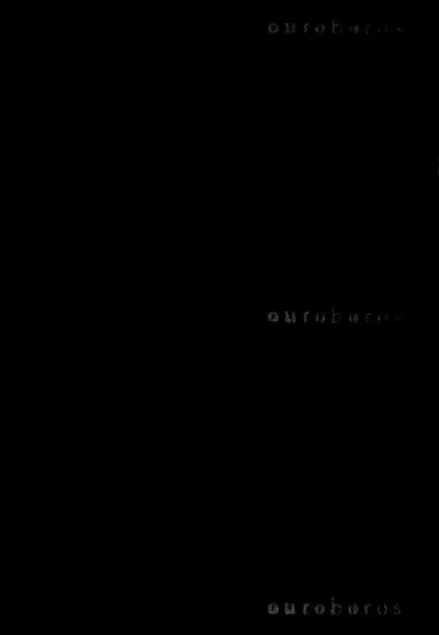 Ouroboros (2009) - Capítulo 38 - Página 4 - LectorTMOo