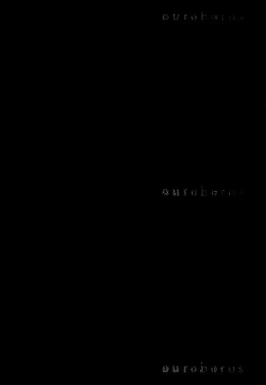 Ouroboros (2009) - Capítulo 39 - Página 22 - LectorTMOo