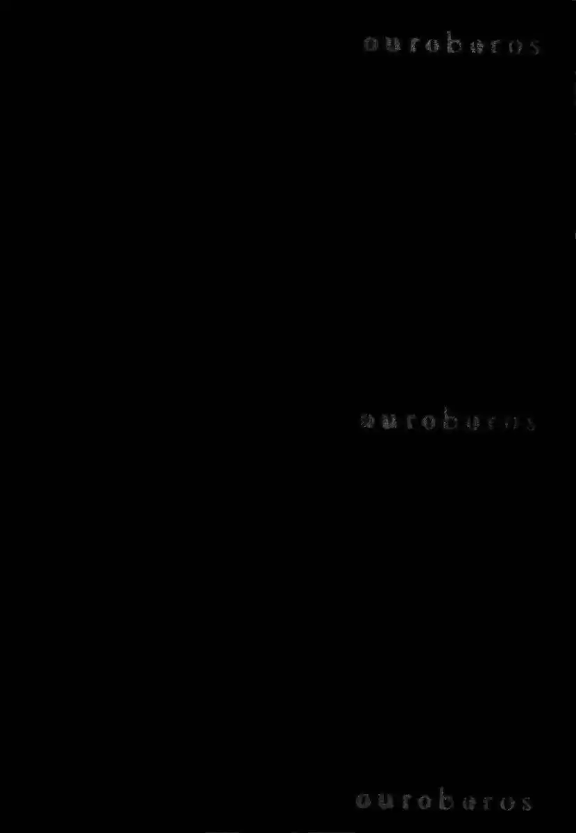 Ouroboros (2009) - Capítulo 6 - Página 4 - LectorTMOo