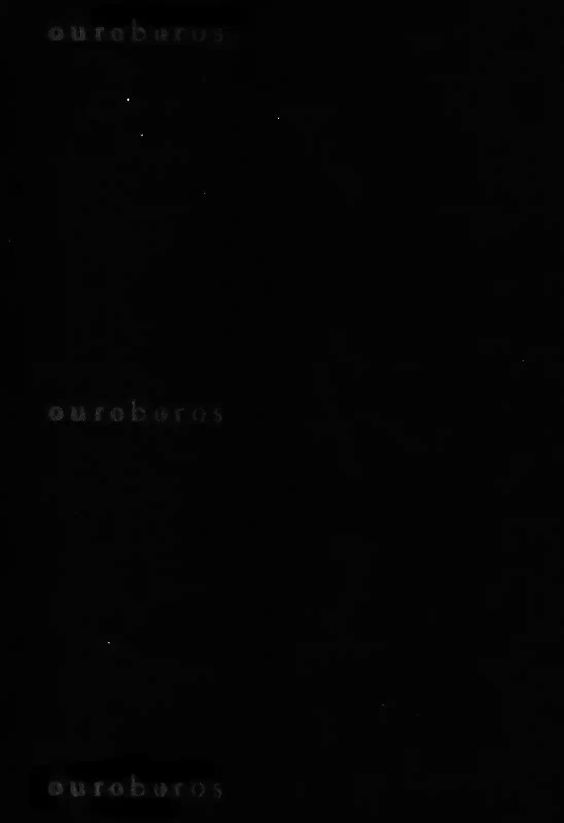 Ouroboros (2009) - Capítulo 73 - Página 44 - LectorTMOo