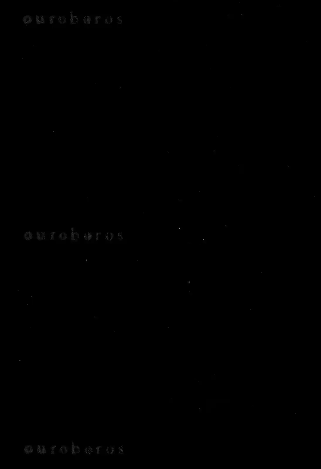 Ouroboros (2009) - Capítulo 74 - Página 44 - LectorTMOo