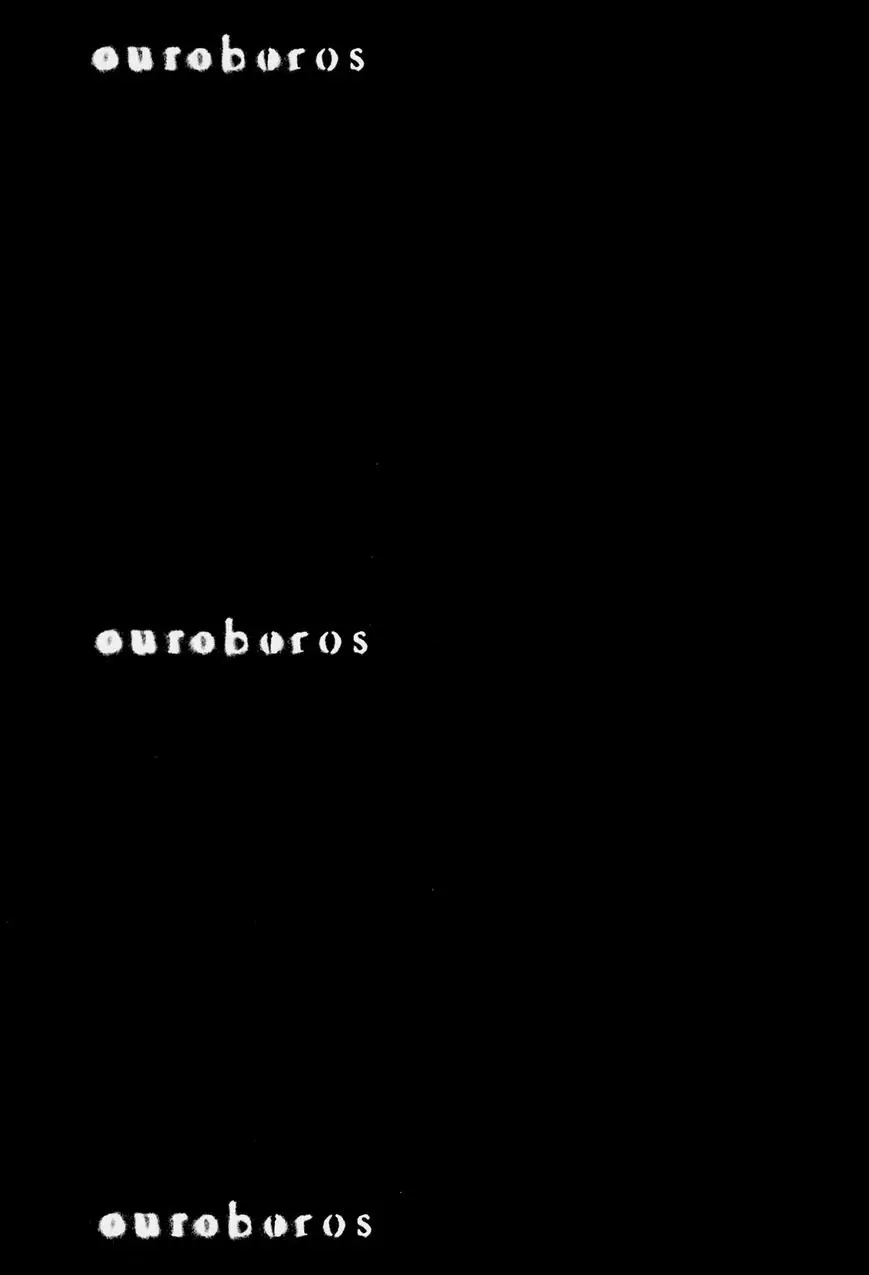 Ouroboros (2009) - Capítulo 98.5 - Página 18 - LectorTMOo