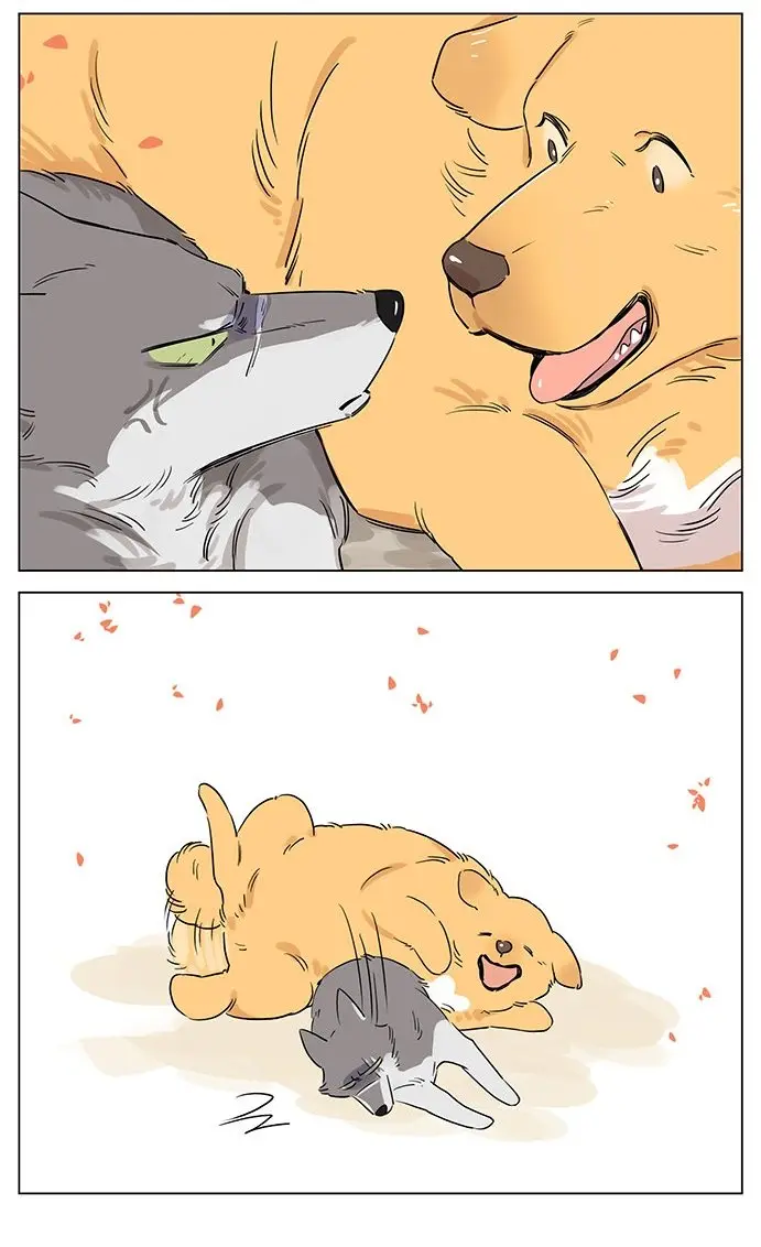 Papa Wolf and The Puppy - Capítulo 48 - Página 10 - LectorTMOo
