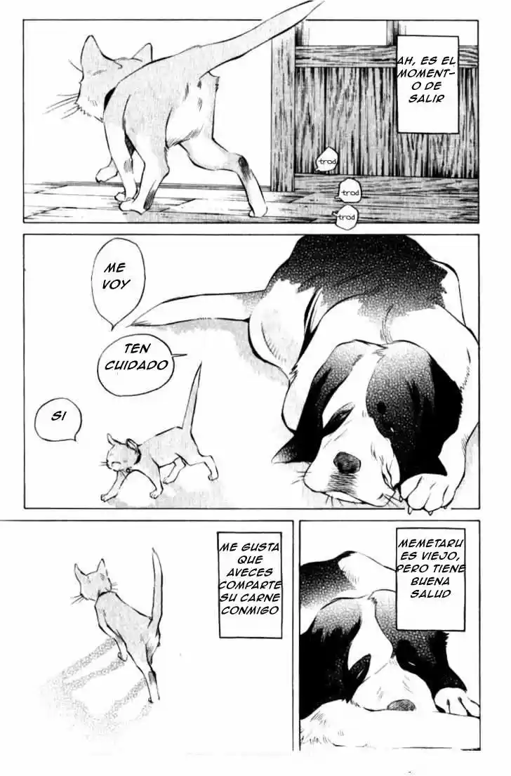 Pastel (2002) - Capítulo 123.05 - Página 10 - LectorTMOo