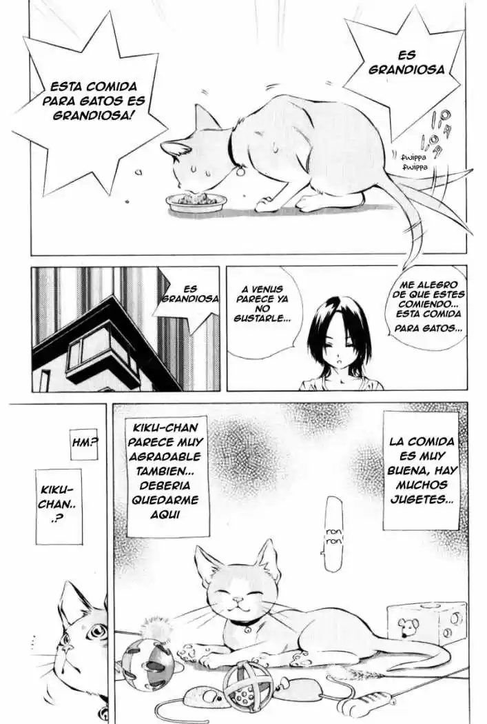 Pastel (2002) - Capítulo 125 - Página 29 - LectorTMOo