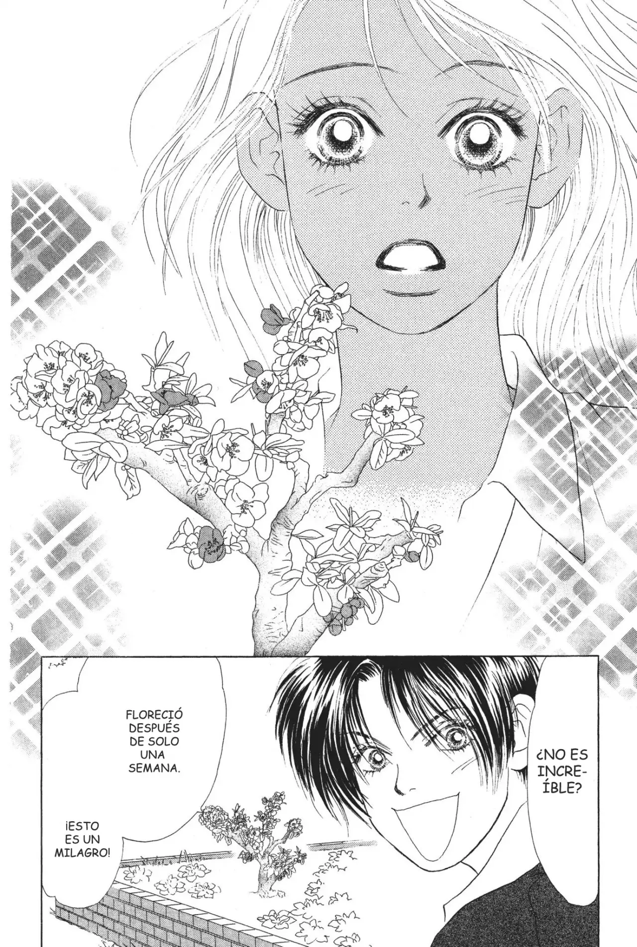 Peach Girl (1997) - Capítulo 32 - Página 34 - LectorTMOo