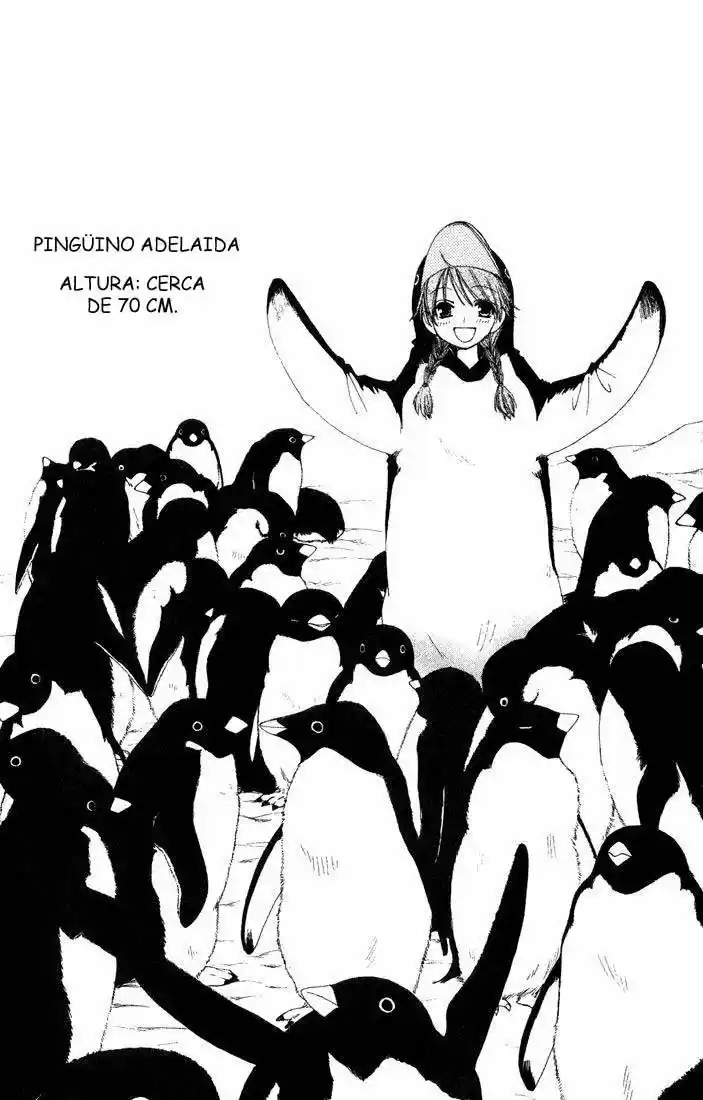 PENGUIN KAKUMEI (2016) - Capítulo 31 - Página 34 - LectorTMOo