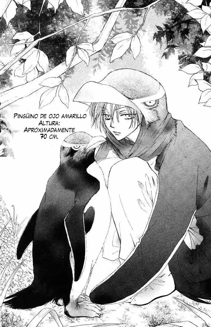 PENGUIN KAKUMEI (2016) - Capítulo 33 - Página 32 - LectorTMOo