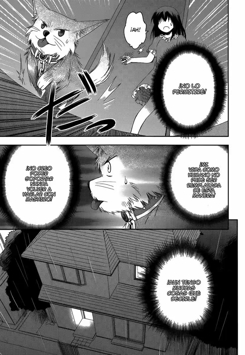 Perowan! - Hayaku Shinasai! Goshujinsama (2011) - Capítulo 17 - Página 19 - LectorTMOo