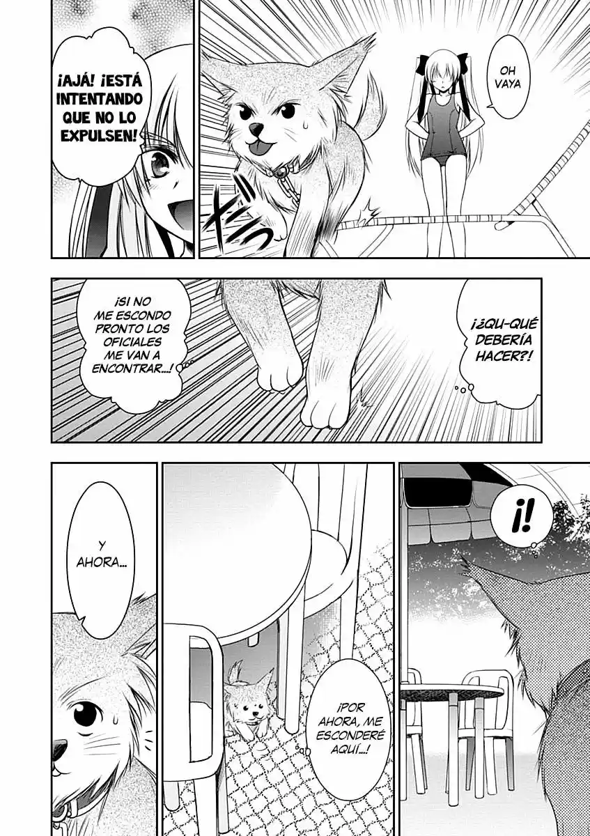Perowan! - Hayaku Shinasai! Goshujinsama (2011) - Capítulo 9 - Página 15 - LectorTMOo