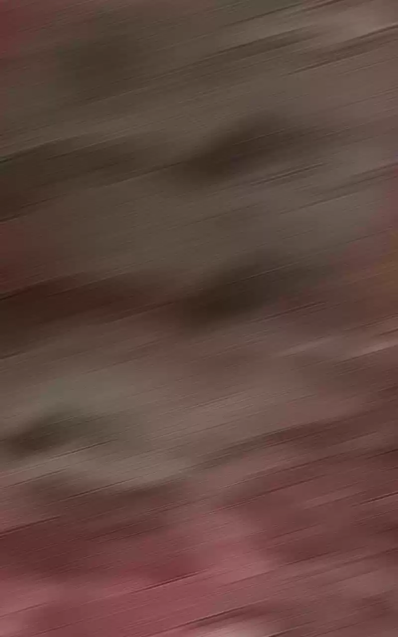 Phoenix (2016) - Capítulo 7 - Página 21 - LectorTMOo