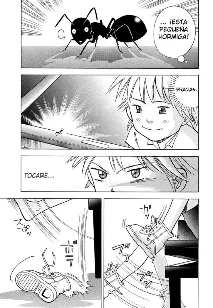 Piano no Mori (1998) - Capítulo 37 - Página 22 - LectorTMOo