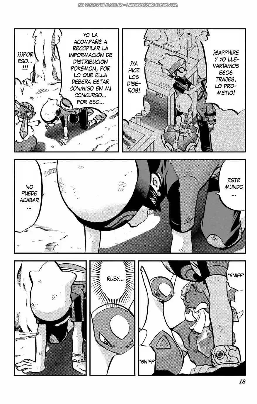 Pokemon Special ORAS (2015) - Capítulo 7 - Página 19 - LectorTMOo
