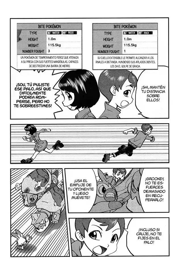 Pokemon Special sword and shield (2019) - Capítulo 3 - Página 18 - LectorTMOo