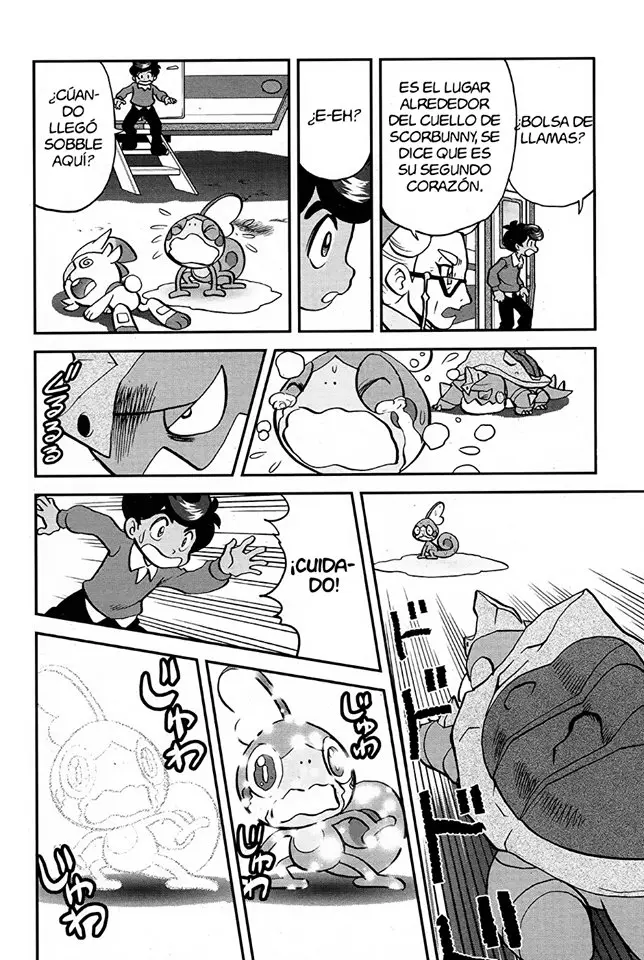 Pokemon Special sword and shield (2019) - Capítulo 3 - Página 20 - LectorTMOo