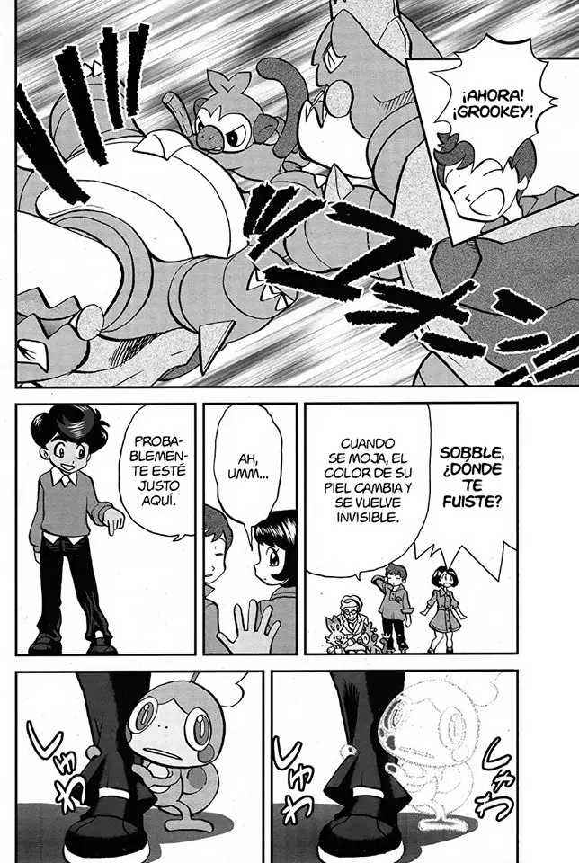 Pokemon Special sword and shield (2019) - Capítulo 3 - Página 22 - LectorTMOo