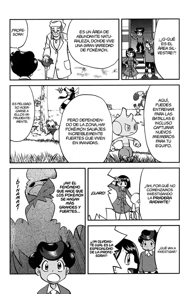 Pokemon Special sword and shield (2019) - Capítulo 4 - Página 4 - LectorTMOo