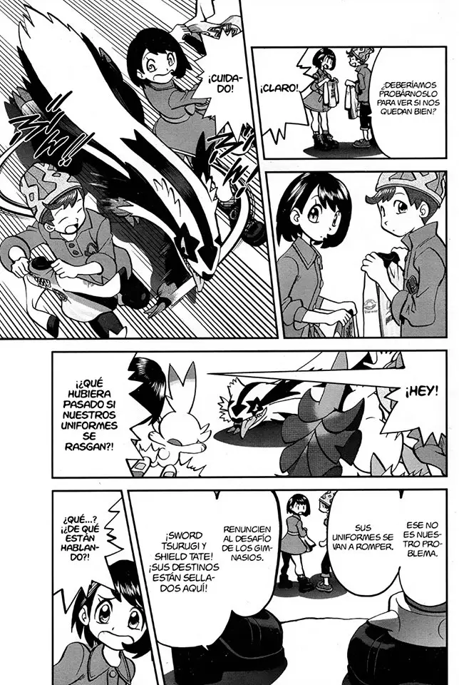 Pokemon Special sword and shield (2019) - Capítulo 4 - Página 9 - LectorTMOo