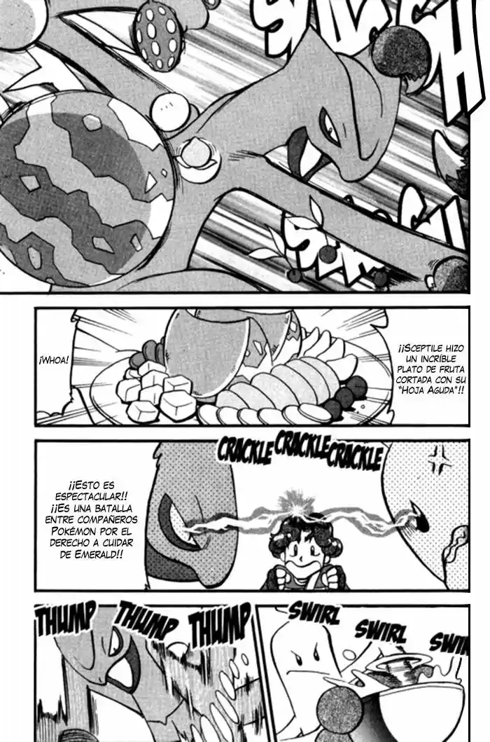 Pokémon Special (1997) - Capítulo 318 - Página 19 - LectorTMOo