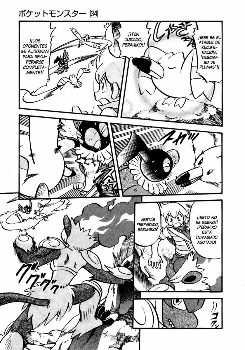 Pokémon Special (1997) - Capítulo 383 - Página 8 - LectorTMOo