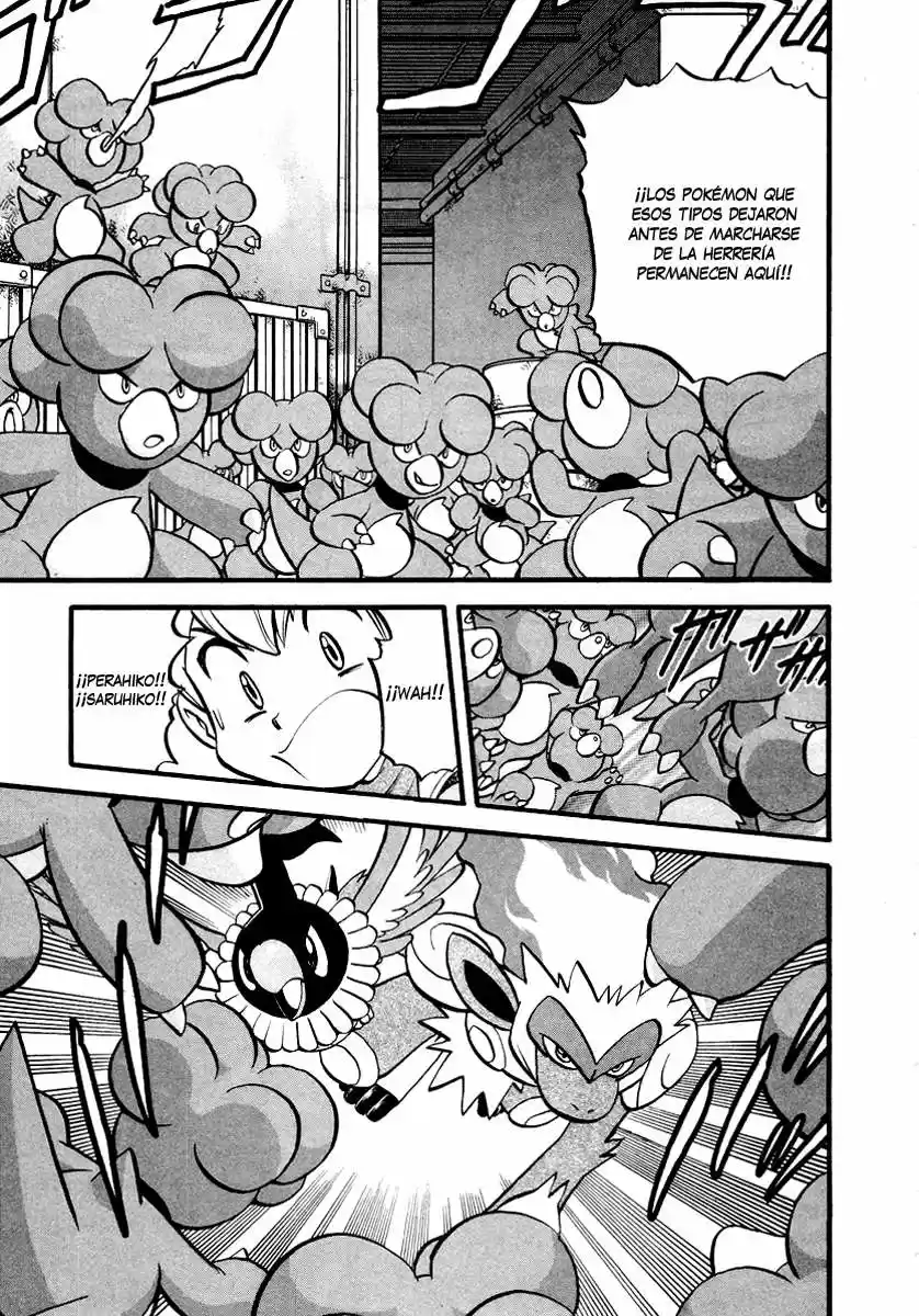 Pokémon Special (1997) - Capítulo 384 - Página 14 - LectorTMOo