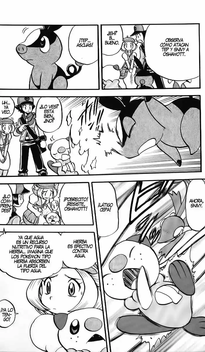 Pokémon Special (1997) - Capítulo 469 - Página 21 - LectorTMOo
