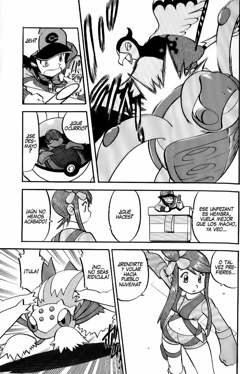 Pokémon Special (1997) - Capítulo 495 - Página 11 - LectorTMOo