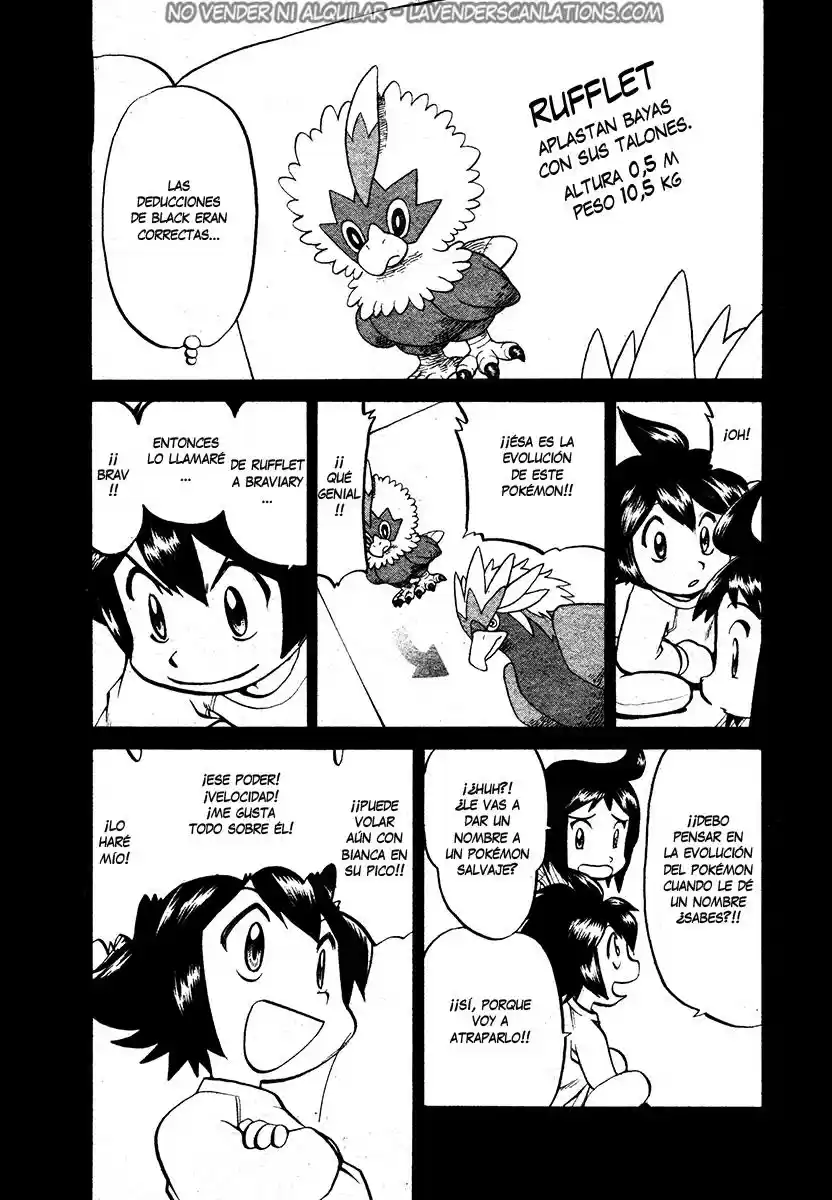 Pokémon Special (1997) - Capítulo 503 - Página 10 - LectorTMOo