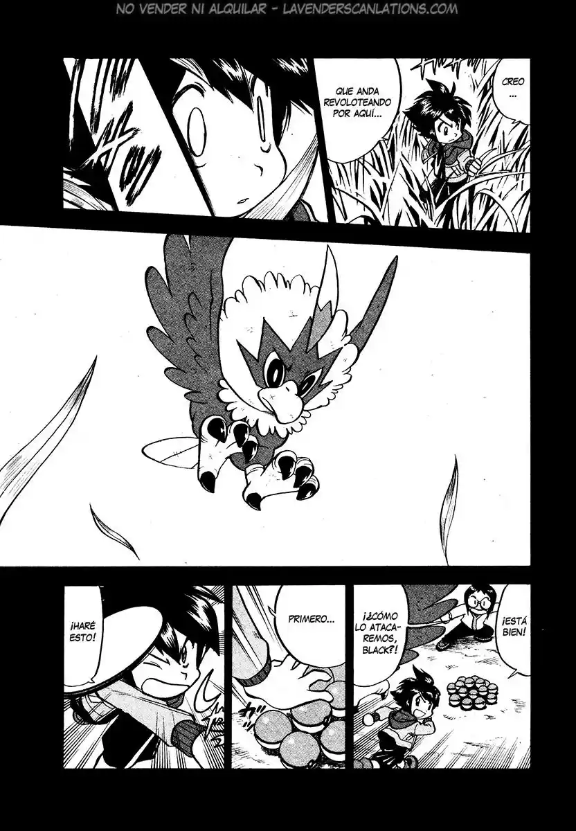 Pokémon Special (1997) - Capítulo 503 - Página 12 - LectorTMOo