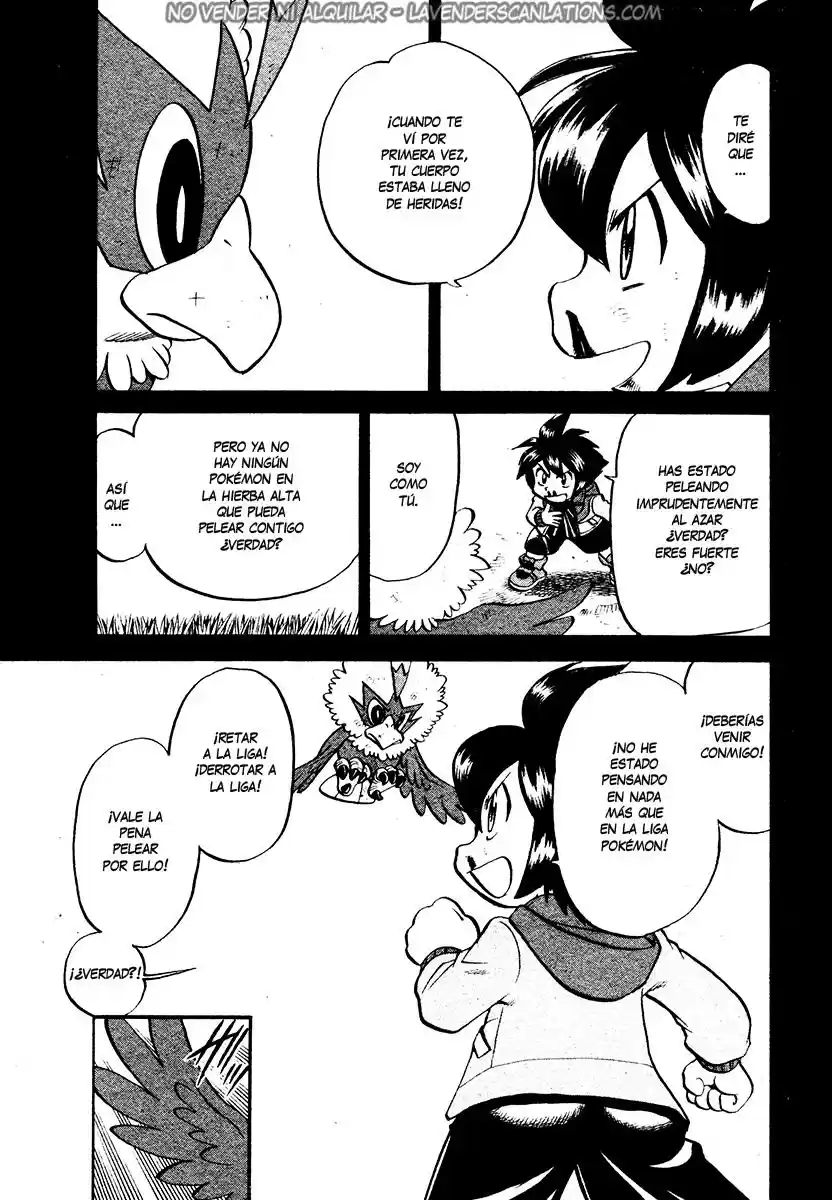 Pokémon Special (1997) - Capítulo 503 - Página 14 - LectorTMOo