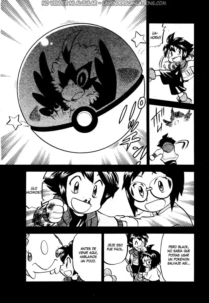 Pokémon Special (1997) - Capítulo 503 - Página 18 - LectorTMOo