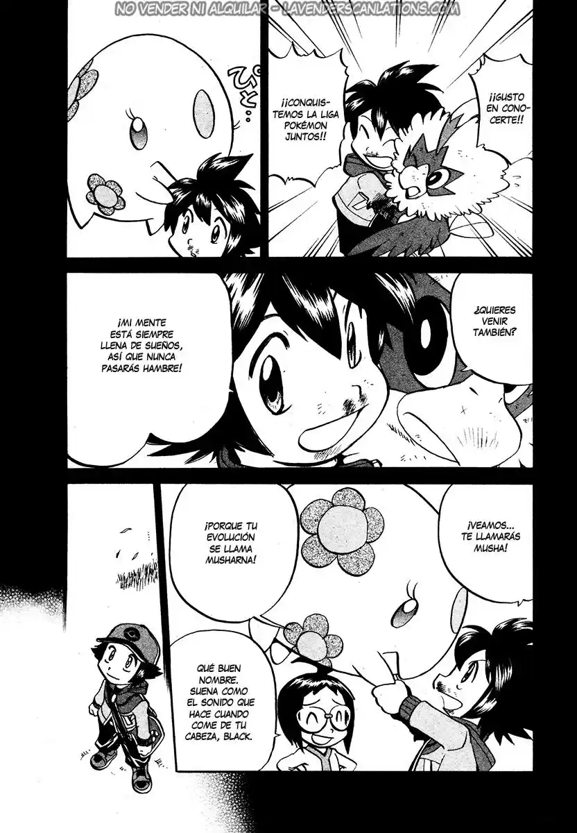 Pokémon Special (1997) - Capítulo 503 - Página 20 - LectorTMOo