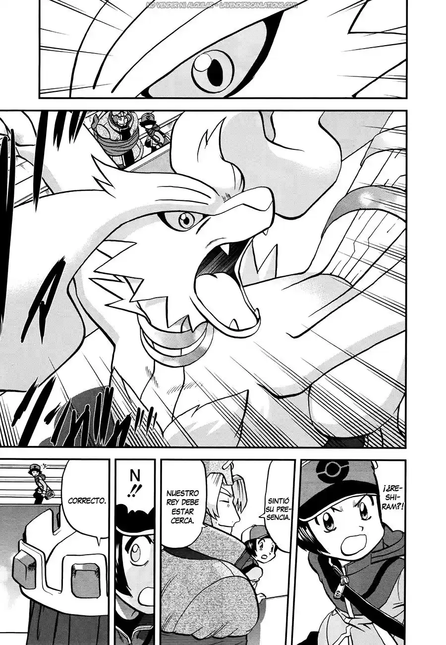 Pokémon Special (1997) - Capítulo 520 - Página 18 - LectorTMOo
