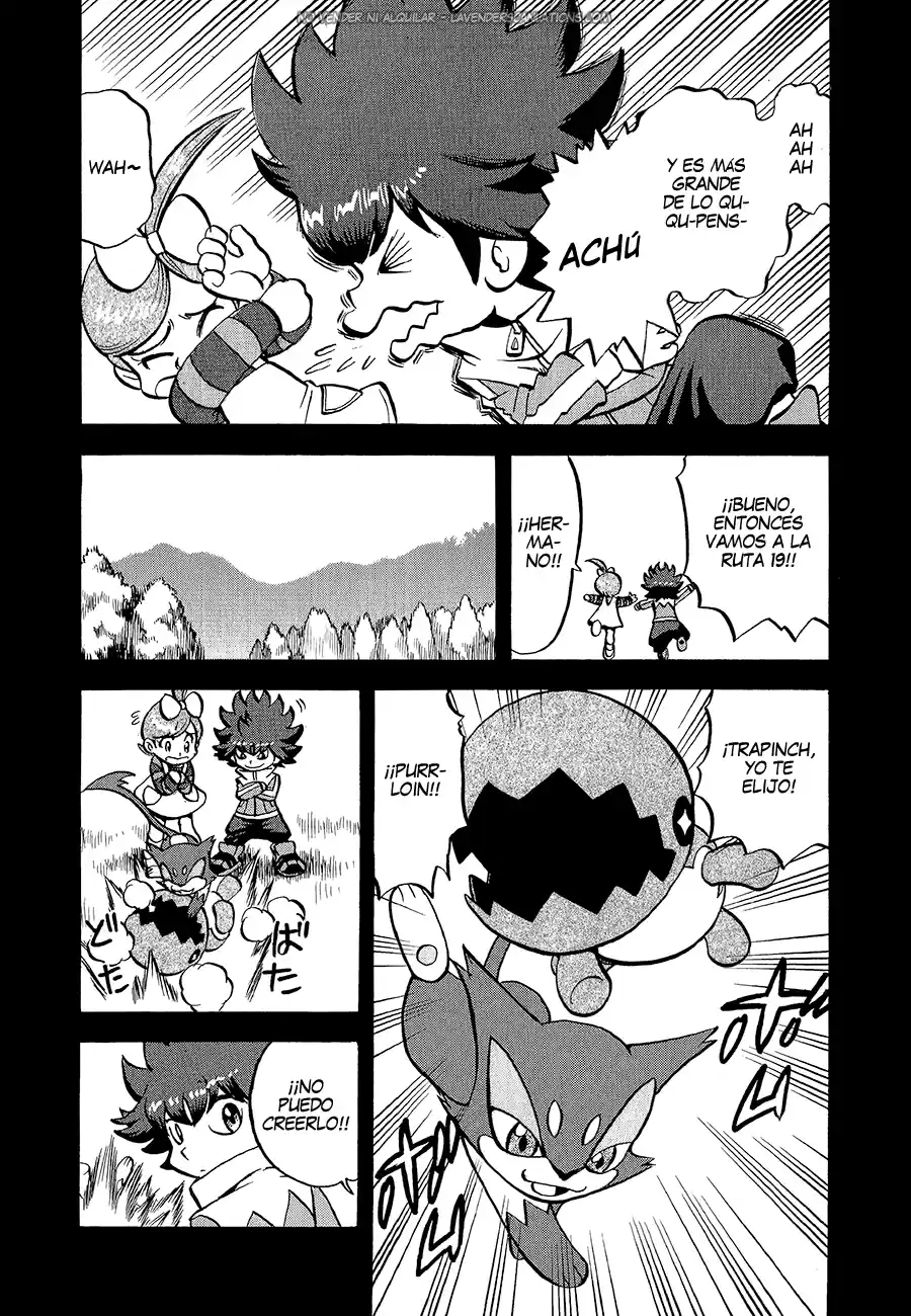 Pokémon Special (1997) - Capítulo 531 - Página 19 - LectorTMOo