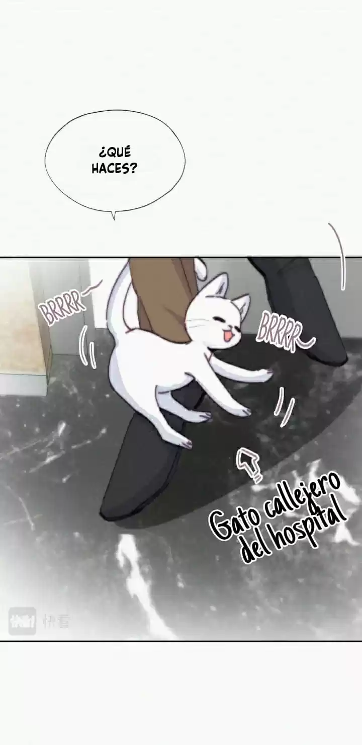 Pregnancy Counterattack (2020) - Capítulo 156 - Página 26 - LectorTMOo