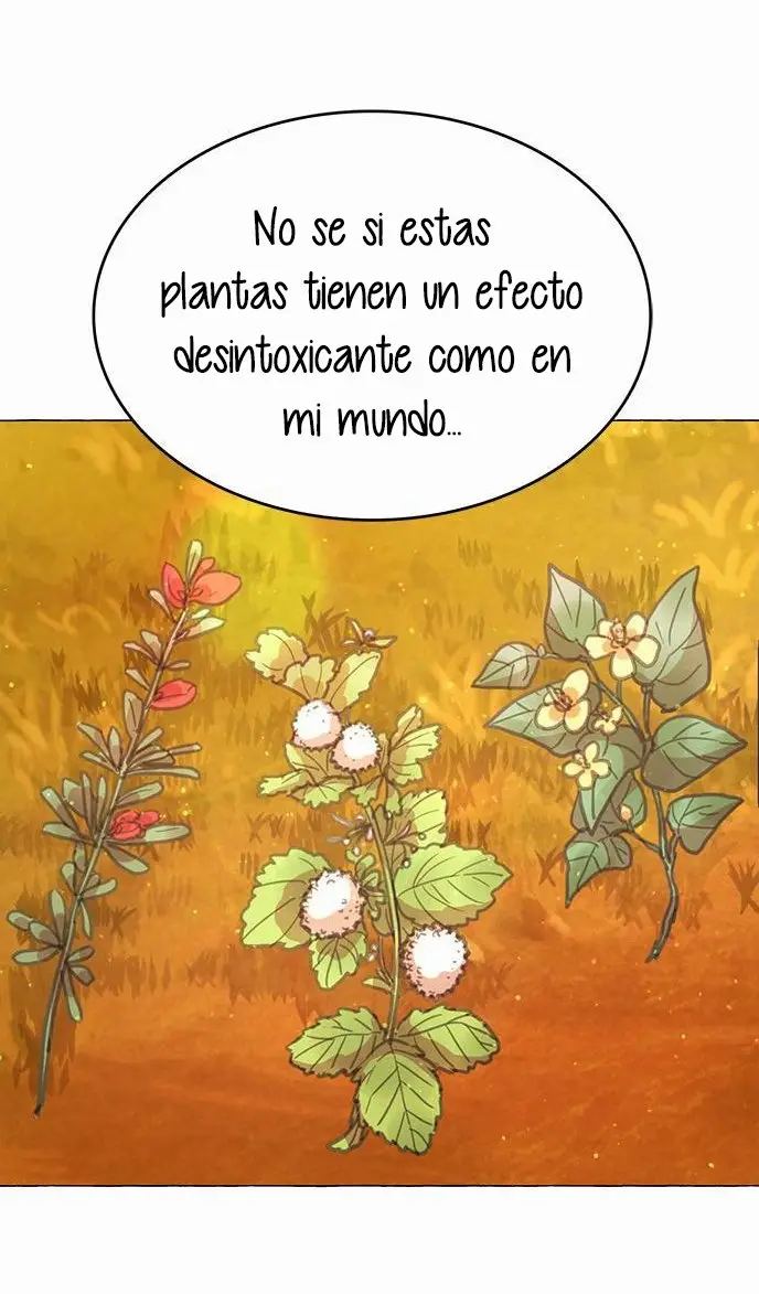 Princesa Hechicera - Capítulo 5 - Página 31 - LectorTMOo