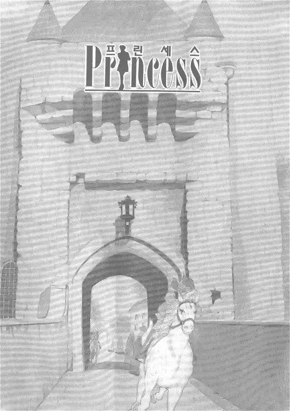 Princess (1995) - Capítulo 11 - Página 5 - LectorTMOo