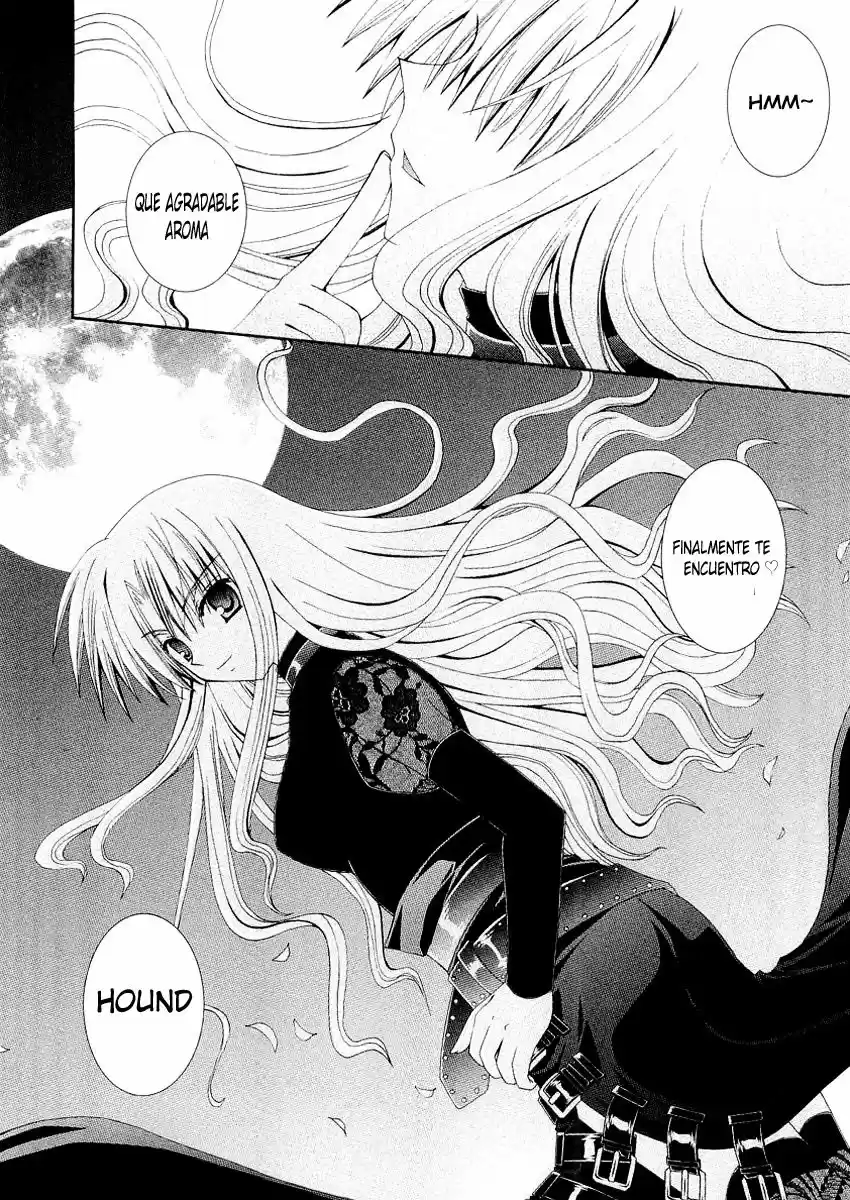 Puchi Houndo (2005) - Capítulo 9 - Página 33 - LectorTMOo