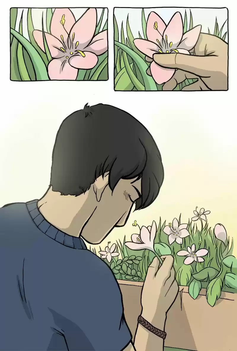 RAINFLOWERS - Capítulo 1 - Página 14 - LectorTMOo