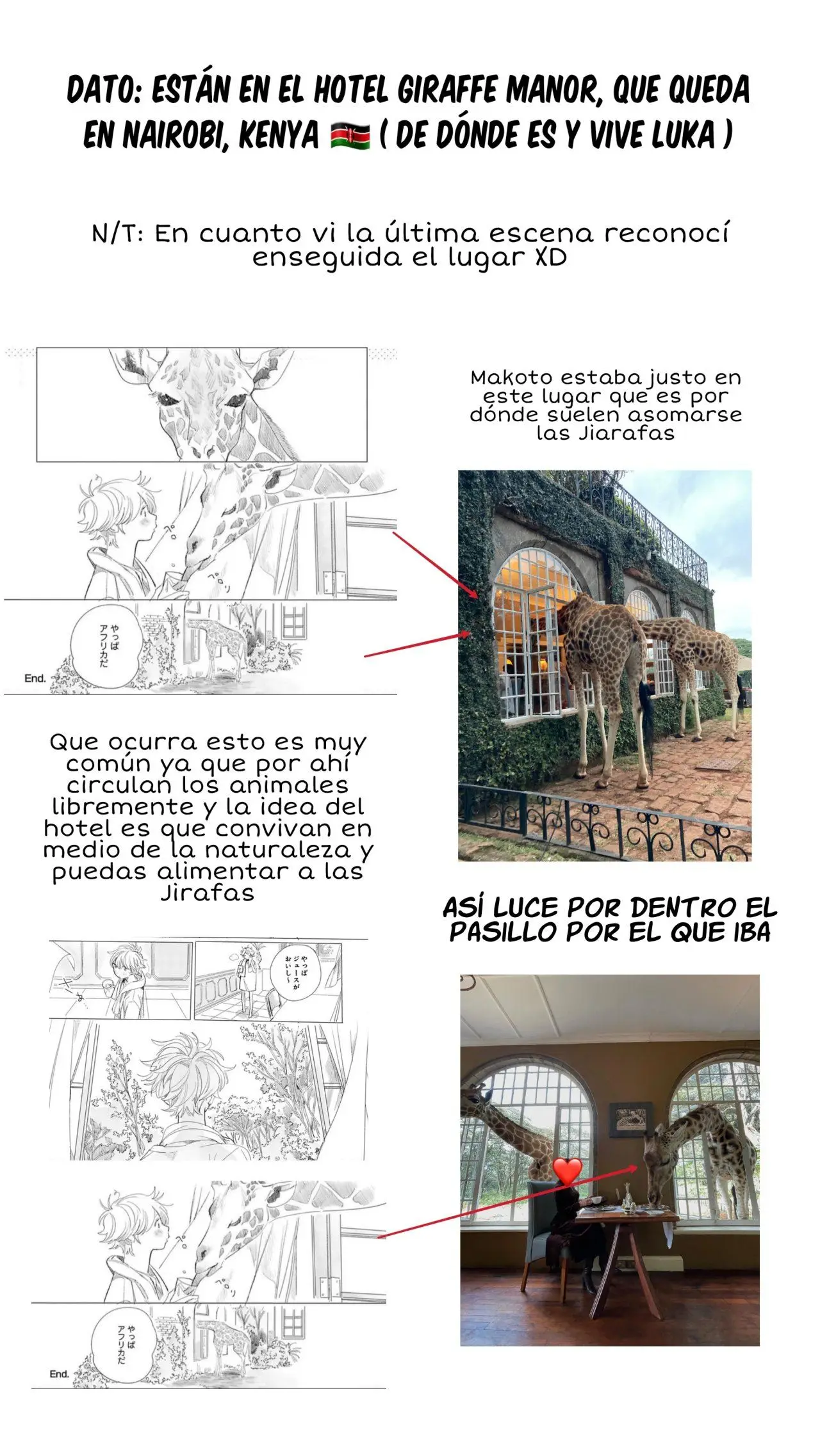 Raion Gotoki no Kuni kara (2020) - Capítulo 11 - Página 24 - LectorTMOo