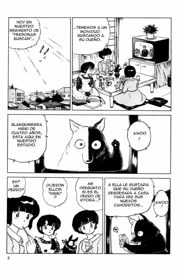 Ranma 1/2 (1987) - Capítulo 103 - Página 3 - LectorTMOo