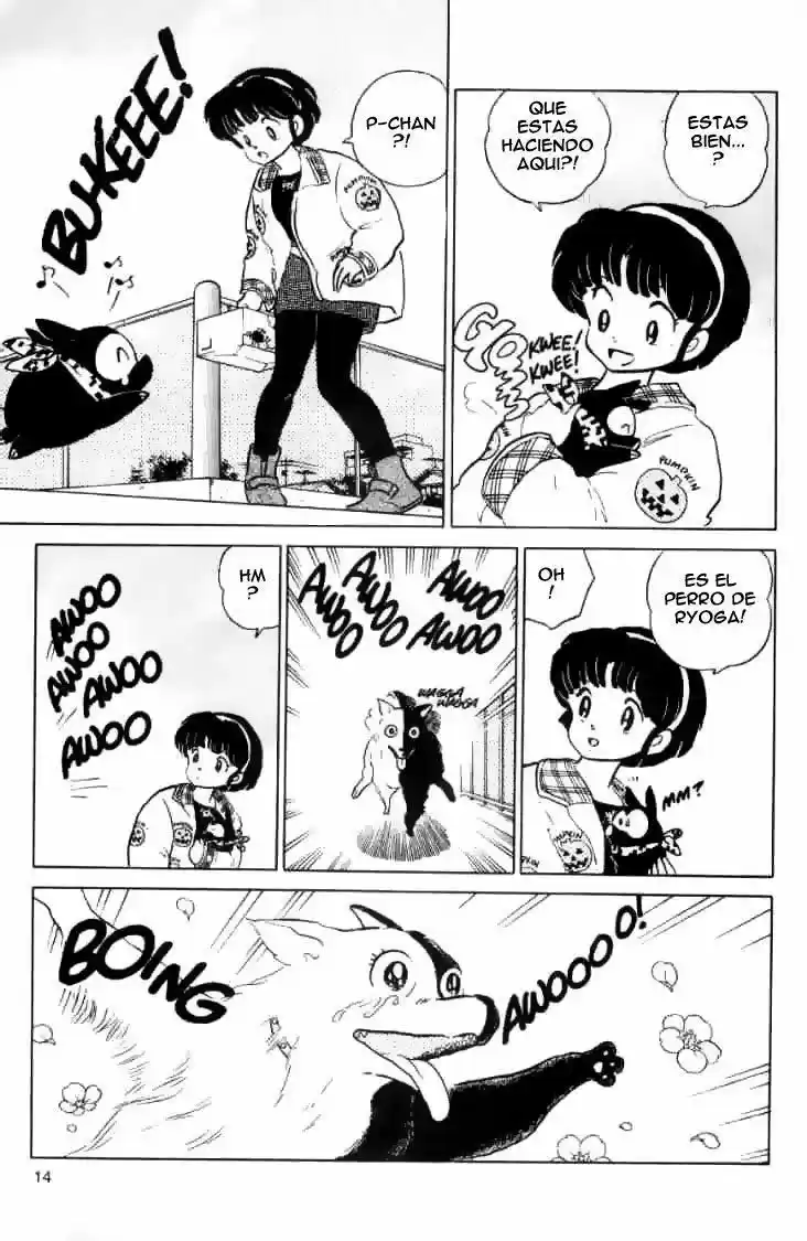 Ranma 1/2 (1987) - Capítulo 103 - Página 15 - LectorTMOo
