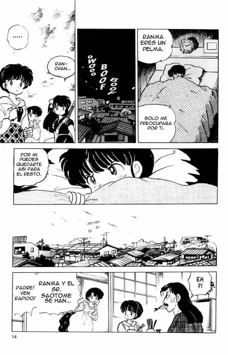 Ranma 1/2 (1987) - Capítulo 127 - Página 15 - LectorTMOo